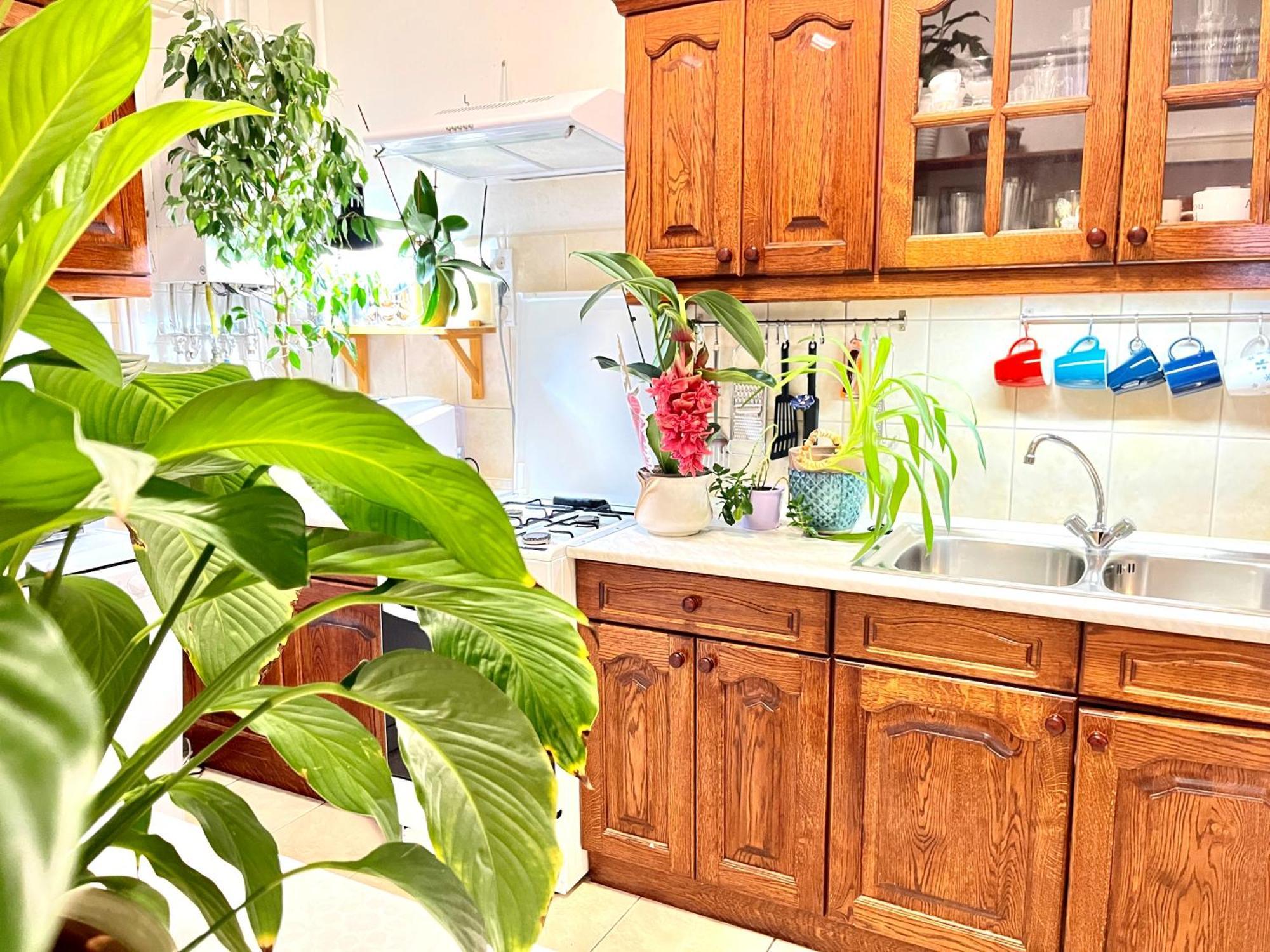 Margaret Bridge Best Spot Apartment Budapest Extérieur photo